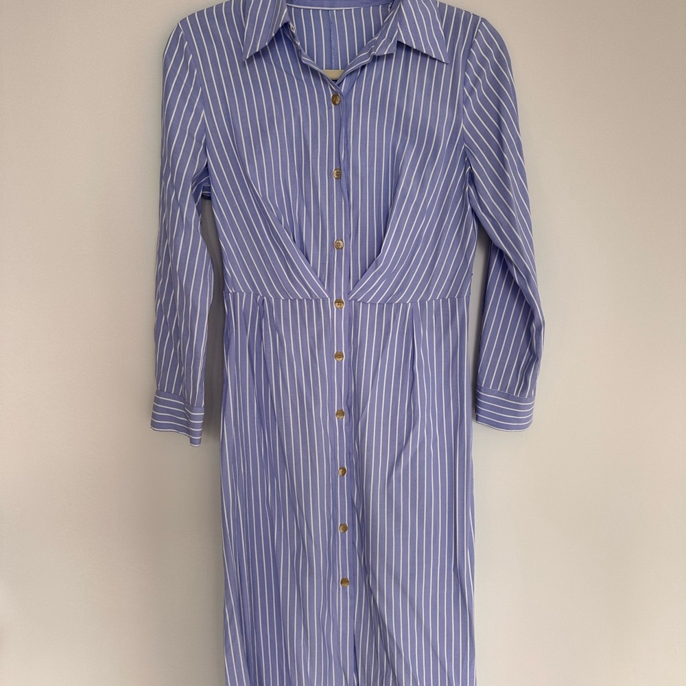 Zara Blue Striped Button-Down Dress